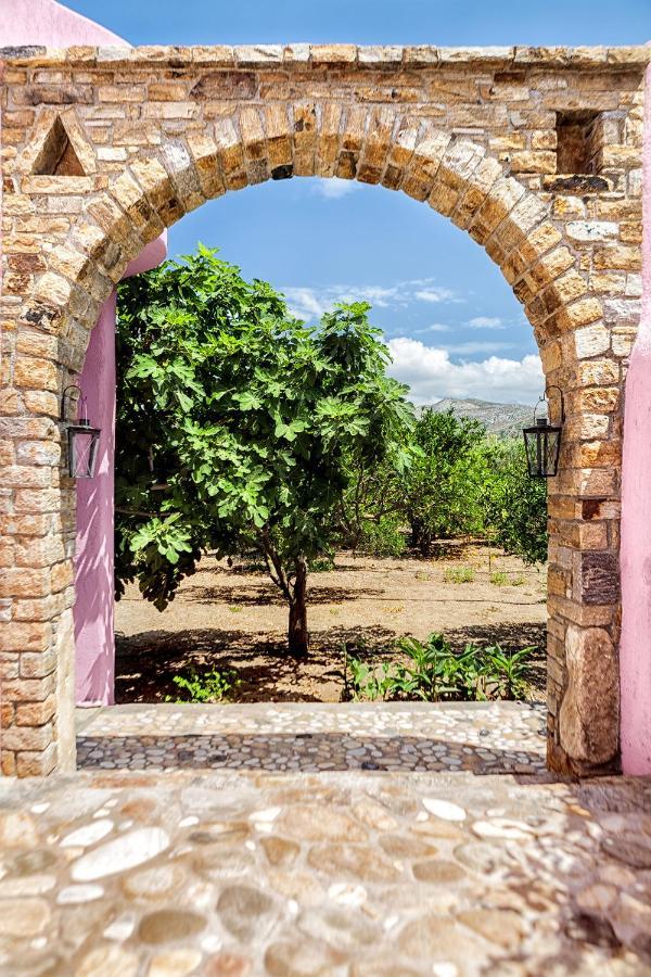 Georgilas Cave House Villa Naxos City Exterior photo